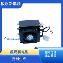  ȼϵѵ600W ʽ ӽĤȼϵ