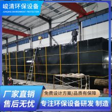 30t/d ũˮ豸 һ廯ˮװ