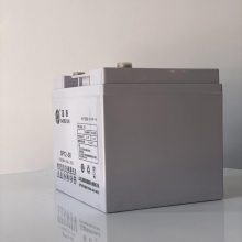 圣阳SP12-38 12V38AH工业蓄电池UPS电源铅酸免维护EPS直流屏专用