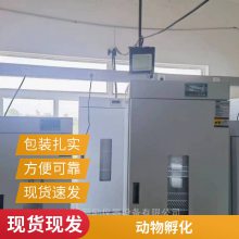 新励恒温恒湿培养箱 实验室细菌细胞微生物霉菌恒温恒湿设备