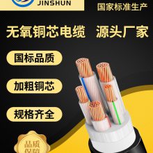 YJV-ͭ£0.6/1KVͭоѹ¡