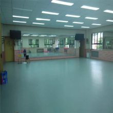佳木斯 健身房运动地板 同质透心塑胶地板 PVC卷材