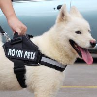 加粗厚寵物藏獒用品胸背帶狗鏈子大型犬高加索阿拉斯加專用