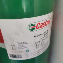 ʵ Rustilo DWX 30 ܼͷ ӷԷ