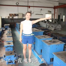 黄岩北城模具 汽配件主机厂塑料模具 汽车保险杠模具专业做