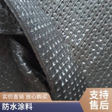 ARF101C 改性沥青聚乙烯胎防水卷材 预铺式自粘防水卷材 高分子EVA复合防水卷材