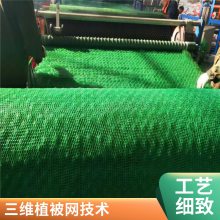 EM5植草绿化世杰三维植被网垫 河道护坡固土 规格全施工简单