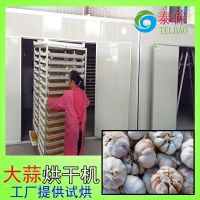 泰保供应大蒜空气能烘干机 热泵烘干设备 可免费试炼