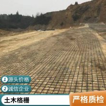 河北上兴路面加筋用复合土工格栅 孔眼均匀高强抗拉稳固性强