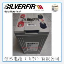 ԭװSILVERFIRɼ12VEL100UPSֱ12V-100Ah