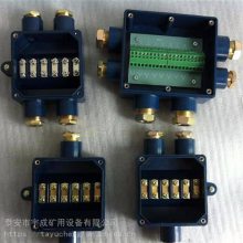 宇成供应JHH6本安电路用接线盒 JHH-4电缆分线盒四通道
