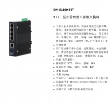  DH-IS1100-5ET 5ڶǹ͹ҵ