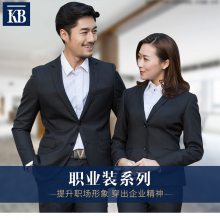 ���޶���������������ְҵװ���������޲ɹ�ְҵװ�����޹���������