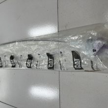 2543286卡特12M 14M 140M平地机工程机械液位计254-3286