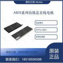 ֱAKH100-N-L-B2AWM3-TL300¼Akribis
