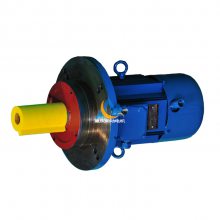 ԭػԴӦYGSL132S-6-3KWˮ ͸ˮ綯