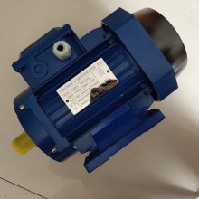 THREE PHASE AC INDUCTION MOTOR 三相异步电动机 GS90S-4 GS8024 GS7124