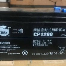CP1290ܷʽ12V9AHǦά ϵͳ