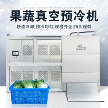 大型全自动化商用果蔬真空预冷机，农业种植加工常用的真空预冷机