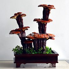 ֥ С辰֥ Ʒ֥ ޽֥辰 ֥辰 ɽ֥