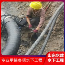 湖北省过河管道埋设安装 承接取水头水下改造沉管施工 - 山东水建