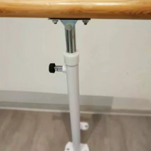 ɽѧУ赸Ѹ