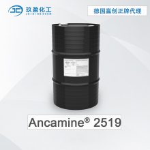 ¹Ӯ̻Ancamine 2519 ڵ¹̻ī