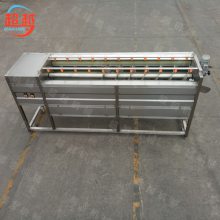 CY-1500型中草药清洗机 玛卡去皮清洗机 毛刷辊清洗机