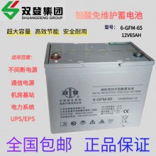 ˫6-GFM-65 ܷʽǦά12V65AH