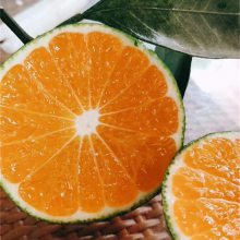 ĺŸ__Ӧ60ĺ_ɻ***ϵ
