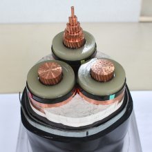 ϵ¼ZR-YJV22-8.7/10KV3*300ѹͭо