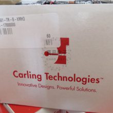 1347RCARLING͵Դ63̰ҡۿ1***125V