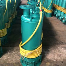 防爆潜水泵bqs22千瓦排沙潜水泵BQS40-80-22kw防爆排污排沙泵