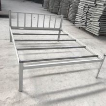 ��Ӧѧ�������������ܴ� ����������˫������ �ִ���ʵ���մ�
