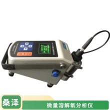 SZ-6105便携式微量溶解氧分析仪 微克级溶氧仪