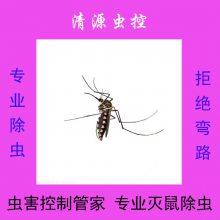 Դأֿɳ漼-溦Ʒṩ