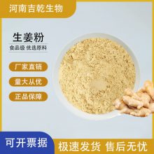 干姜提取物 生姜粉 姜辣素单一提取 增味剂食品级