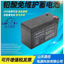 LEOCHʿDGM1265ʽǦὺ12V65AHάUPSԴ