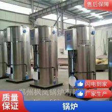 燃气立式锅炉 RT-700L CLHS炉型 定做大中小型燃气热水锅炉