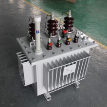 S11-100KVA 11/0.4KV ȫܷѹ ͱ