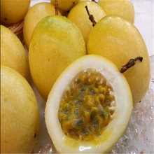 ڰ Ʒְ ʰ糡