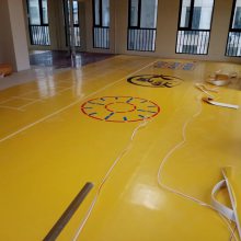 邵阳PVC地胶邵阳运动地胶塑料地板健身房地面羽毛球场地板