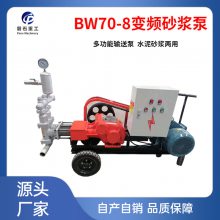 BW250עѹעѹע豸