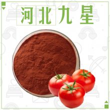 食品级番茄粉厂家 食用番茄提取粉末原料添加剂