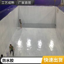 双组分防水防腐涂料 水池管道冷却塔隧道化工设备耐酸碱防腐漆