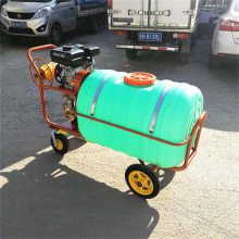 龙眼树杀虫喷雾器 叶面喷施拉管喷药机 城市下水道消毒喷雾机