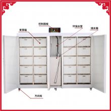 全自动豆芽机 广东深圳豆芽生长机 小型干豆腐机