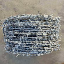 迎来 低碳钢丝镀锌带刺铁丝网 建筑施工防爬刀片刺绳网
