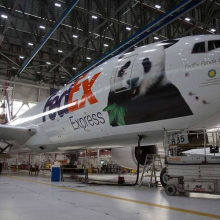 ʿ Fedex ˷˫˰
