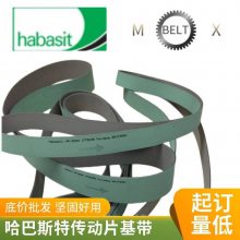 ʿHabasit Ƥ ʹ  TC-30洫ϵ